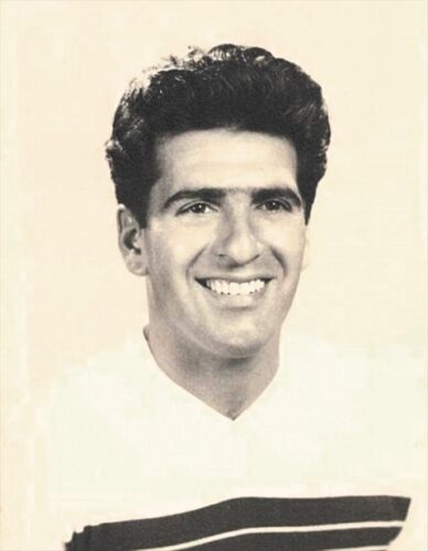 RAYMOND  CERVELLINI